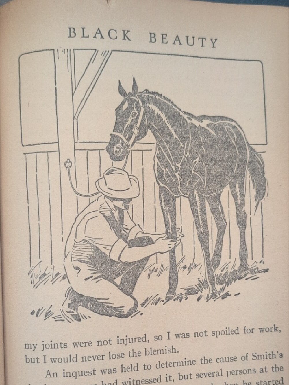 Black Beauty 1920's Vintage Antique Children Book Retro Cover Illustration Rare - Picture 6 of 14